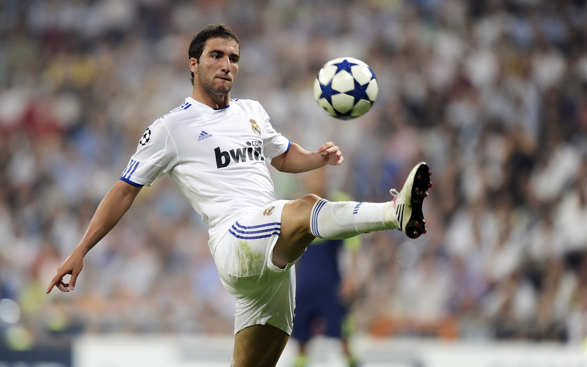 北京鸭持续输出进攻火力形成压倒性优势,北京鸭与其他鸭子的区别