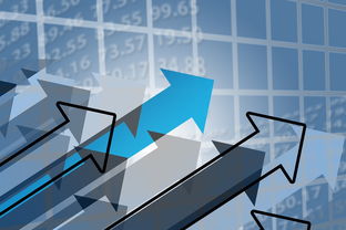 mk体育官网入口-转换进攻中最常见的防守错误类型，篮球转换进攻什么意思